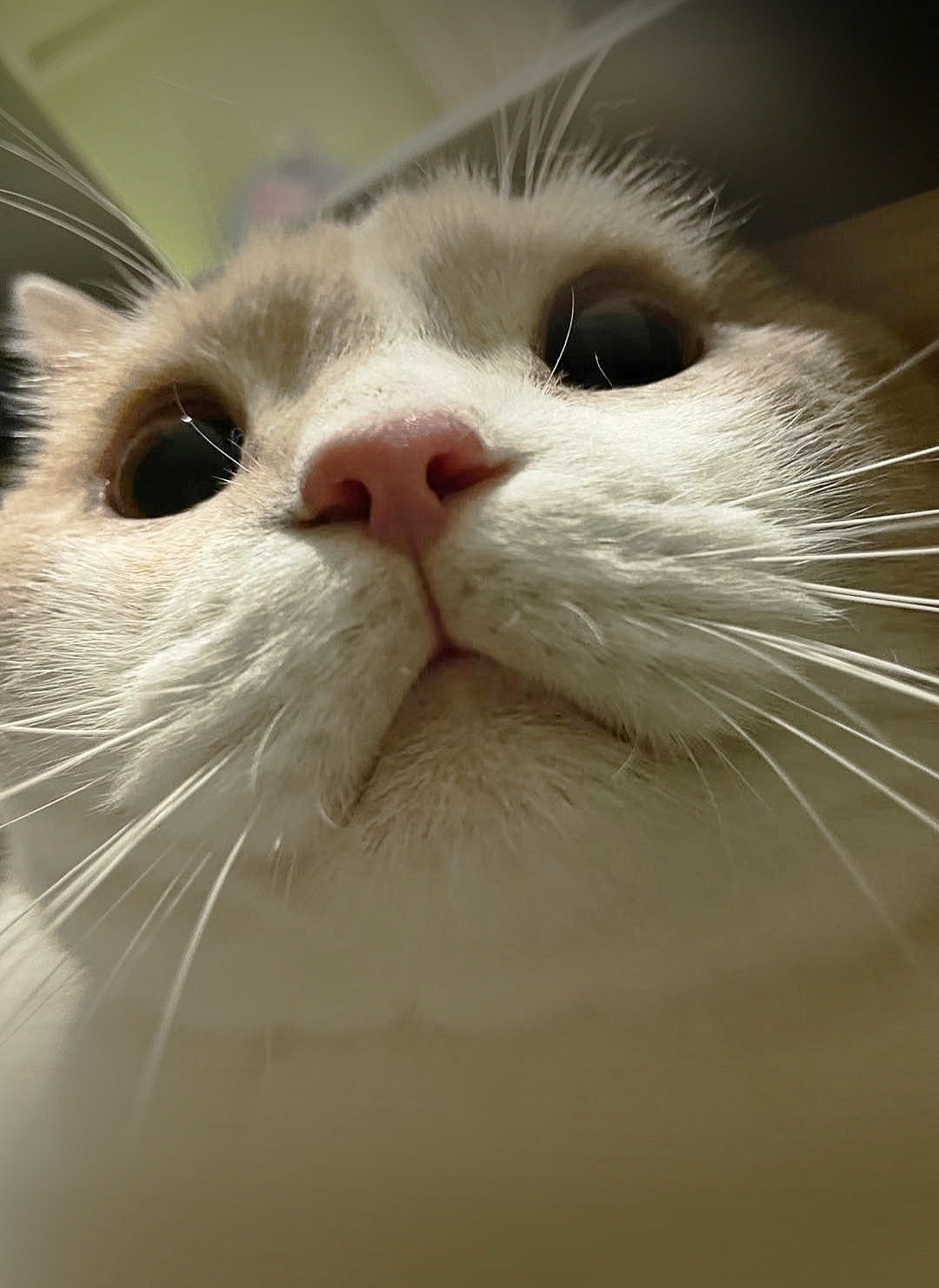 云工创客-*秀华