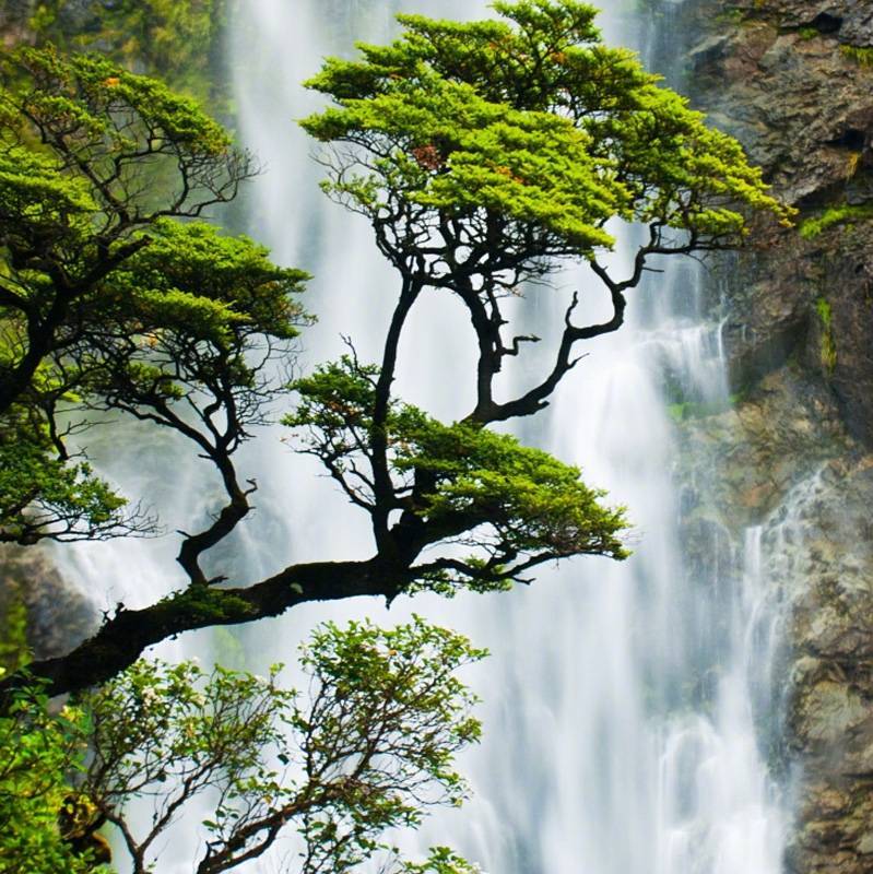 云工创客-晨曦@