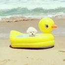 云工创客-山宰在画了